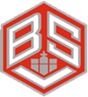 BSV-Logo