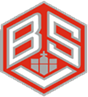 BSV-Logo